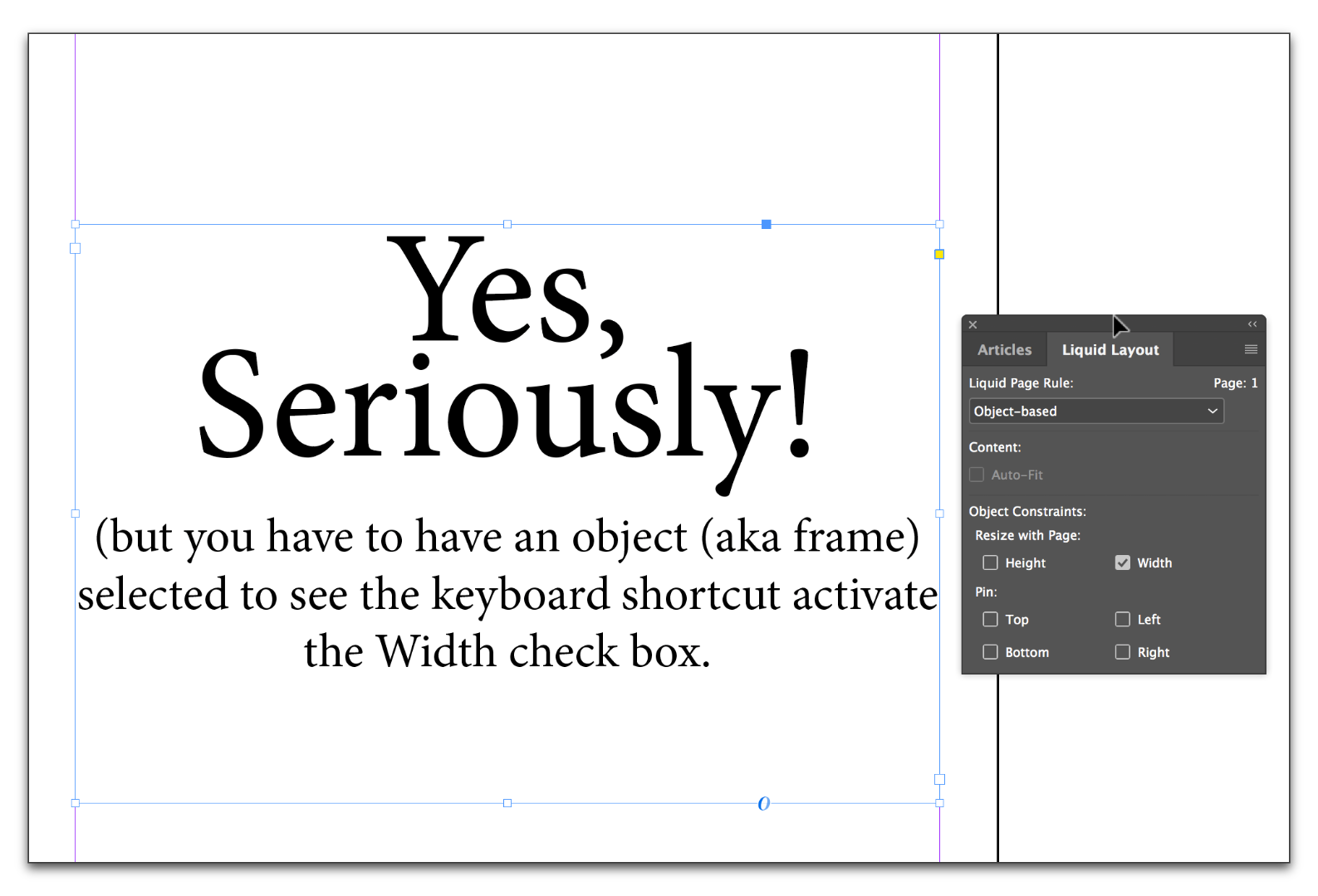 InDesign CCss_002.png